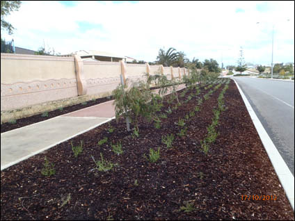 Burns Beach Verge Project